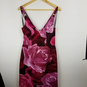 Ba nites by Melanie lyne Roses cocktail dress